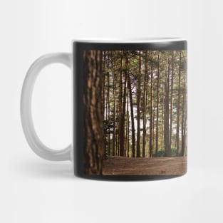 Between the birch trees is sunlight Mug